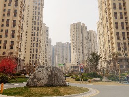皇家学府